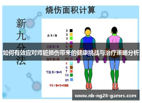 如何有效应对肾脏损伤带来的健康挑战与治疗策略分析
