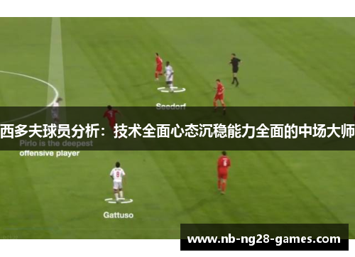 西多夫球员分析:技术全面心态沉稳能力全面的中场大师 西多夫球员分析:技术全面心态沉稳能力全面的中场大师